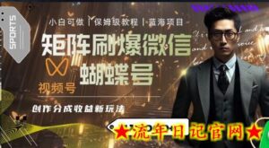 矩阵刷爆微信蝴蝶号创作者分成计划收益的新玩法,日入2000+-流年日记