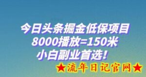 今日头条掘金低保项目,8000播放=150米,小白副业首选-流年日记