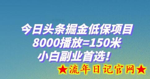 今日头条掘金低保项目，8000播放=150米，小白副业首选-流年日记