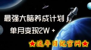 冷门虚拟项目,最强大脑养成计划,一个月变现2W+-流年日记