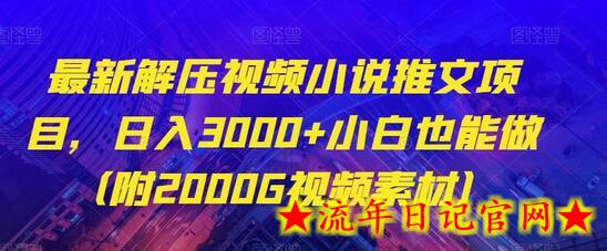 最新解压视频小说推文项目，日入3000+小白也能做（附2000G视频素材）-流年日记