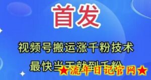 全网首发:视频号无脑搬运涨千粉技术,最快当天到千粉-流年日记
