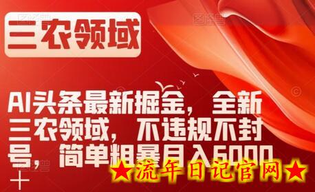 AI头条最新掘金，全新三农领域，不违规不封号，简单粗暴月入6000＋-流年日记