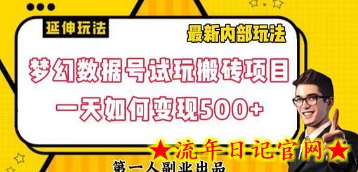 数据号回归玩法游戏试玩搬砖项目再创日入500+-流年日记