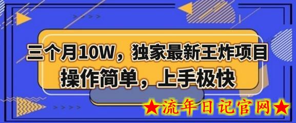 三个月10W，独家最新王炸项目！操作简单，上手极快-流年日记