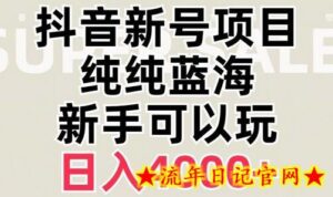 抖音蓝海赛道,必须是新账号,日入4000+-流年日记