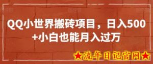QQ小世界搬砖项目，日入500+小白也能月入过万-流年日记