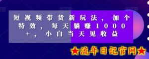 短视频带货新玩法,加个特效,每天躺赚1000+,小白当天见收益-流年日记