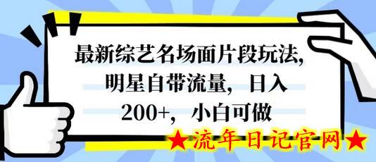 最新综艺名场面片段玩法，明星自带流量，日入200+，小白可做-流年日记