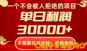 一个不会被人拒绝的项目,不需要任何经验,谁都能做,单日利润30000+-流年日记