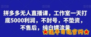 拼多多无人直播课,工作室一天打底5000利润,不封号,不垫资,不售后,纯白嫖流量-流年日记