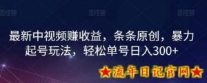 最新中视频赚收益,条条原创,暴力起号玩法,轻松单号日入300+-流年日记