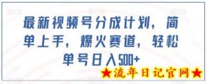 最新视频号分成计划,简单上手,爆火赛道,轻松单号日入500+-流年日记