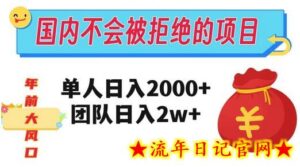 在国内不怕被拒绝的项目,单人日入2000,团队日入20000+-流年日记