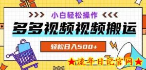 多多视频项目新手小白操作,轻松日入500+-流年日记