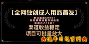 最新全网独创首发,成人用品赛道引流获客,月入10w保姆级教程-流年日记