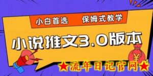 小说推文3.0玩法,日入两千+,保姆式教学,小白首选-流年日记
