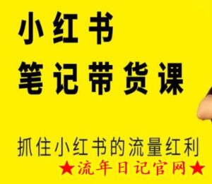 张宾·小红书笔记带货课,抓住小红书的流量红利(更新23年12月)-流年日记