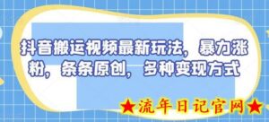 抖音搬运视频最新玩法,暴力涨粉,条条原创,多种变现方式-流年日记
