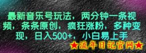 最新音乐号玩法,两分钟一条视频,条条原创,疯狂涨粉,多种变现,日入500+,小白易上手-流年日记