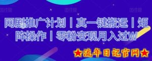 网剧推广计划丨真一键搬运丨矩阵操作丨零粉变现月入过W-流年日记