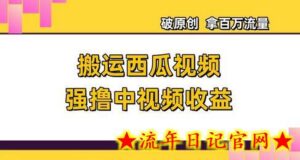 搬运西瓜视频强撸中视频收益,日赚600+破原创,拿百万流量-流年日记