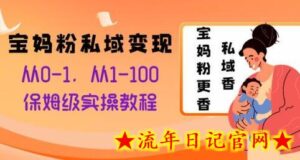宝妈粉私域变现从0-1,从1-100,保姆级实操教程,长久稳定的变现之法-流年日记