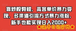靠炒股教程,高客单价暴力变现,多渠道引流方式暴力涨粉,新手也能实现日入2000+-流年日记