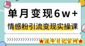 单月变现6W+，抖音情感粉引流变现实操课，小白可做，轻松上手，独家赛道-流年日记
