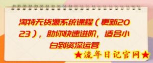 淘特无货源系统课程(更新2023),助你快速进阶,适合小白到资深运营-流年日记