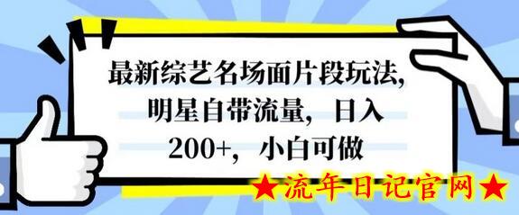 最新综艺名场面片段玩法，明星自带流量，日入200+，小白可做-流年日记