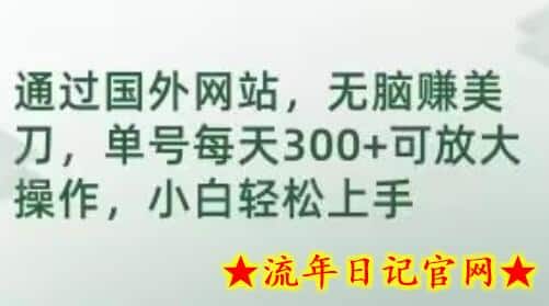 通过国外网站，无脑赚美刀，单号每天300+可放大操作，小白轻松上手-流年日记