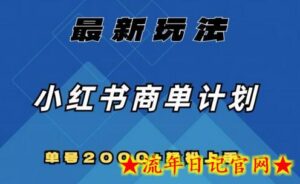 全网首发,小红书商单计划最新玩法,单号2000+可扩大可复制-流年日记