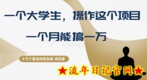 十万个富翁修炼宝典之4.一个大学生操作这个项目,一个月能搞一万-流年日记