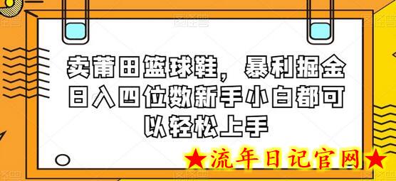 卖莆田篮球鞋，暴利掘金日入四位数新手小白都可以轻松上手-流年日记