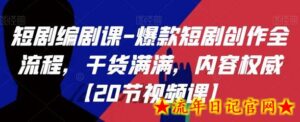 短剧编剧课-爆款短剧创作全流程,干货满满,内容权威【20节视频课】-流年日记