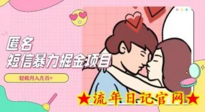 全网首发,揭秘超冷门匿名短信项目,通过信息差日入几百+-流年日记