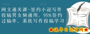 网文通关课-签约小说写作投稿男女频通用,95%签约过稿率,系统写作投稿学习-流年日记