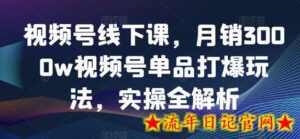 视频号线下课,月销3000w视频号单品打爆玩法,实操全解析-流年日记