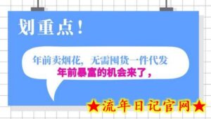 年前月入30000的机会,过年卖烟花,无需囤货一键代发合法合规-流年日记