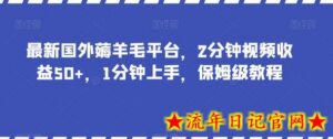 最新国外薅羊毛平台，2分钟视频收益50+，1分钟上手，保姆级教程-流年日记