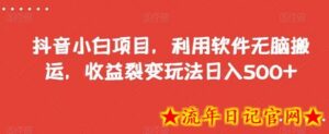 抖音小白项目，利用软件无脑搬运，收益裂变玩法日入500+-流年日记