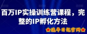 百万IP实操训练营课程,完整的IP孵化方法-流年日记