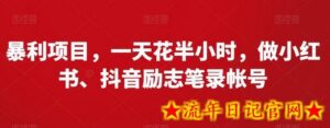 暴利项目,一天花半小时,做小红书、抖音励志笔录帐号-流年日记