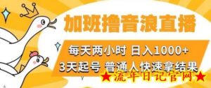 加班撸音浪直播,每天两小时,日入1000+,直播话术才3句,3天起号,普通人快速拿结果-流年日记