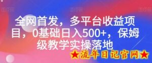 全网首发,多平台收益项目,0基础日入500+,保姆级教学实操落地-流年日记