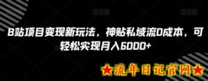 B站项目变现新玩法，神贴私域流0成本，可轻松实现月入6000+-流年日记