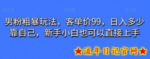 男粉粗暴玩法,客单价99,日入多少靠自己,新手小白也可以直接上手-流年日记