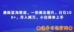 最新蓝海赛道，一张美女图片，日引100+，月入两万，小白简单上手-流年日记