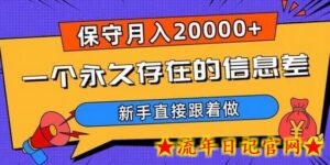 一个永久存在的信息差,保守月入20000+,新手直接跟着做-流年日记